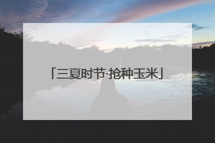 三夏时节·抢种玉米