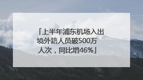 上半年浦东机场入出境外籍人员破500万人次，同比增46%