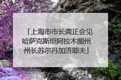 上海市市长龚正会见哈萨克斯坦阿拉木图州州长苏尔丹加济耶夫