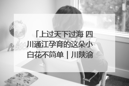 上过天下过海 四川通江孕育的这朵小白花不简单｜川陕渝网络名人巴中行