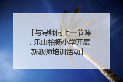 与导师同上一节课，乐山柏杨小学开展新教师培训活动