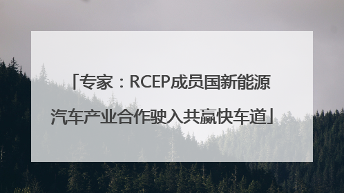 专家：RCEP成员国新能源汽车产业合作驶入共赢快车道
