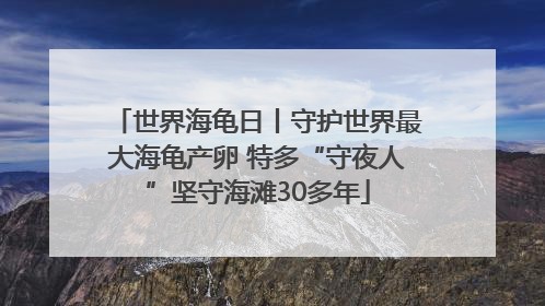 世界海龟日丨守护世界最大海龟产卵 特多“守夜人”坚守海滩30多年