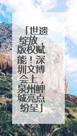 世遗绽放，版权赋能！深圳文博会上，泉州鲤城亮点纷呈