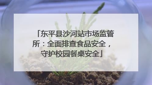 东平县沙河站市场监管所：全面排查食品安全，守护校园餐桌安全