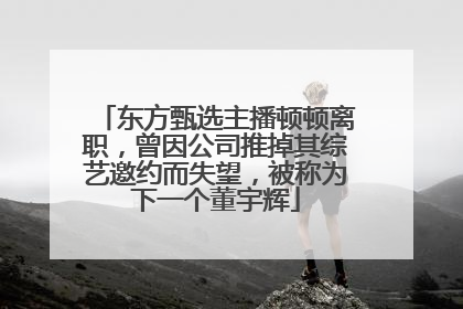 东方甄选主播顿顿离职，曾因公司推掉其综艺邀约而失望，被称为下一个董宇辉
