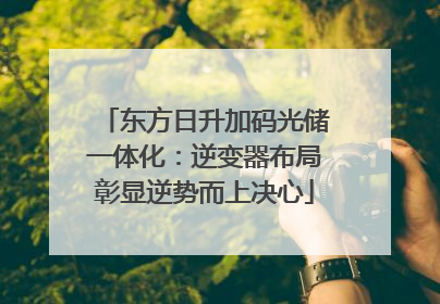 东方日升加码光储一体化：逆变器布局彰显逆势而上决心