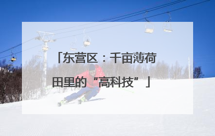 东营区：千亩薄荷田里的“高科技”