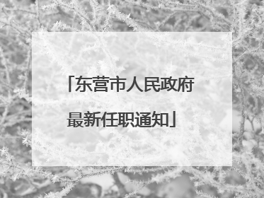 东营市人民政府最新任职通知