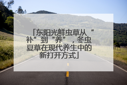 东阳光鲜虫草从“补”到“养”，冬虫夏草在现代养生中的新打开方式