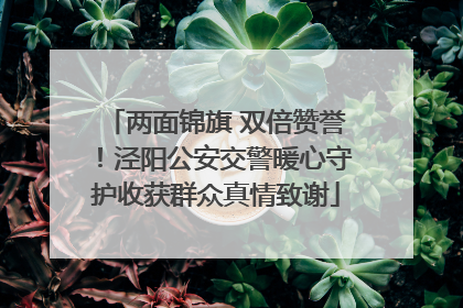 两面锦旗 双倍赞誉！泾阳公安交警暖心守护收获群众真情致谢