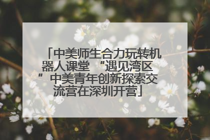 中美师生合力玩转机器人课堂 “遇见湾区”中美青年创新探索交流营在深圳开营