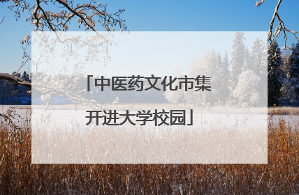 中医药文化市集开进大学校园