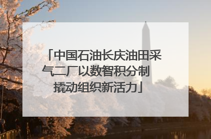 中国石油长庆油田采气二厂以数智积分制 撬动组织新活力