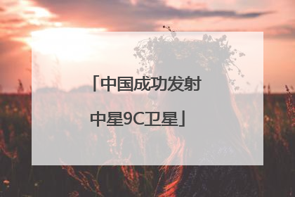 中国成功发射中星9C卫星