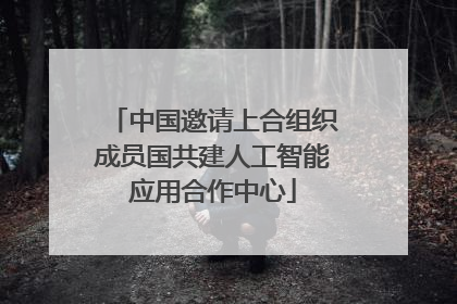中国邀请上合组织成员国共建人工智能应用合作中心