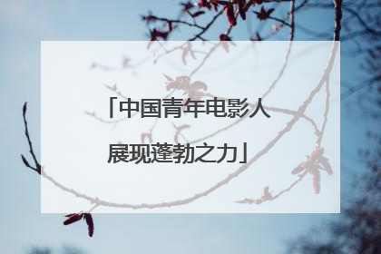 中国青年电影人展现蓬勃之力