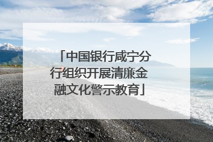 中国银行咸宁分行组织开展清廉金融文化警示教育