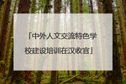 中外人文交流特色学校建设培训在汉收官