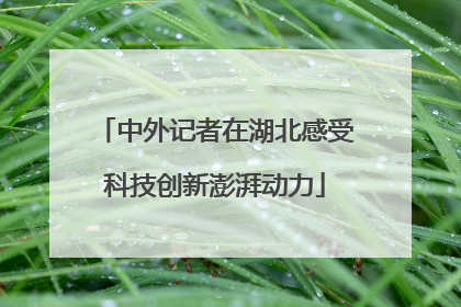 中外记者在湖北感受科技创新澎湃动力