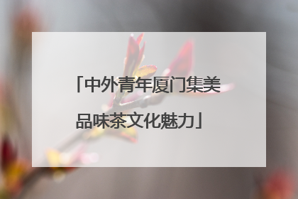 中外青年厦门集美品味茶文化魅力