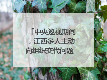 中央巡视期间，江西多人主动向组织交代问题｜打虎拍蝇