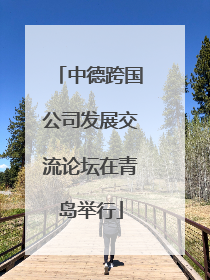 中德跨国公司发展交流论坛在青岛举行