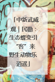 中新武威观｜民勤：生态蝶变引“客”来 野生动物乐逍遥