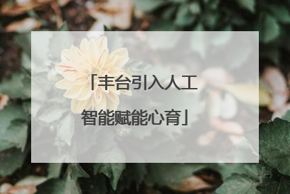 丰台引入人工智能赋能心育