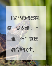 义马市检察院第二党支部：“三维一体”党建融合护民生