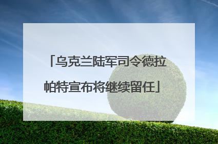 乌克兰陆军司令德拉帕特宣布将继续留任