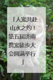 人宠共赴山水之约！第五届济南携宠徒步大会圆满举行