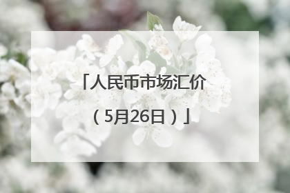 人民币市场汇价（5月26日）