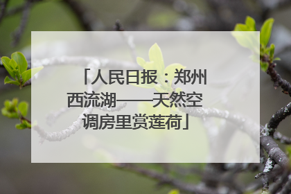 人民日报：郑州西流湖——天然空调房里赏莲荷