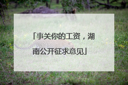 事关你的工资，湖南公开征求意见