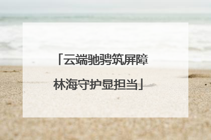 云端驰骋筑屏障 林海守护显担当