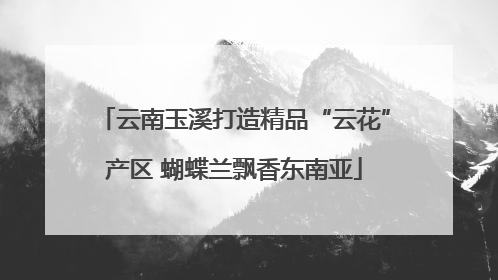 云南玉溪打造精品“云花”产区 蝴蝶兰飘香东南亚