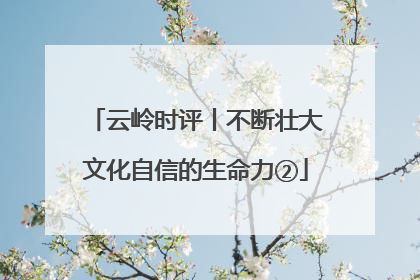 云岭时评丨不断壮大文化自信的生命力②