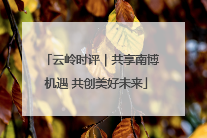 云岭时评｜共享南博机遇 共创美好未来