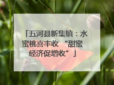 五河县新集镇：水蜜桃喜丰收 “甜蜜经济促增收”