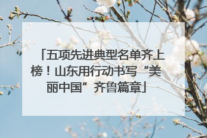 五项先进典型名单齐上榜！山东用行动书写“美丽中国”齐鲁篇章