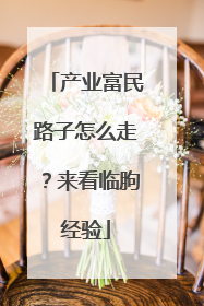 产业富民路子怎么走？来看临朐经验