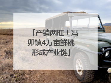 产销两旺！冯卯镇4万亩鲜桃形成产业链
