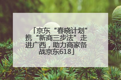 京东“春晓计划”携“新商三步法”走进广西，助力商家备战京东618