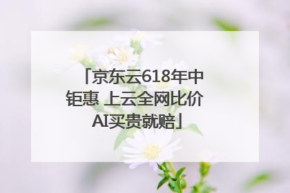 京东云618年中钜惠 上云全网比价 AI买贵就赔