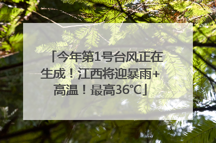 今年第1号台风正在生成！江西将迎暴雨+高温！最高36℃