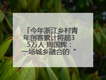 今年浙江乡村青年创客累计将超35万人 周国辉：一场城乡融合的“双向奔赴”
