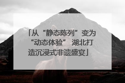 从“静态陈列”变为“动态体验” 湖北打造沉浸式非遗盛宴
