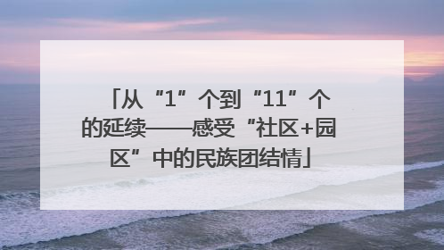 从“1”个到“11”个的延续——感受“社区+园区”中的民族团结情
