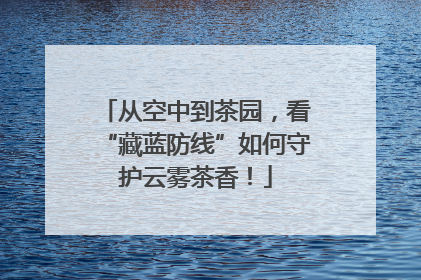 从空中到茶园，看“藏蓝防线”如何守护云雾茶香！